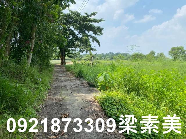 台南關廟農地-8