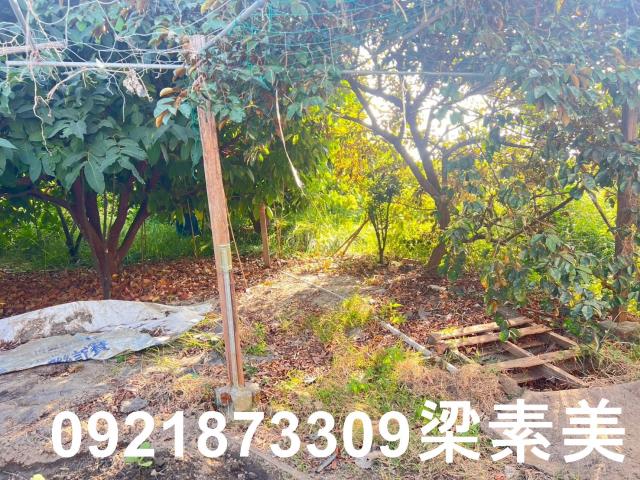 台南仁德農地-9