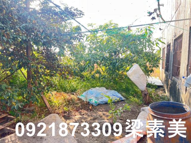 台南仁德農地-10