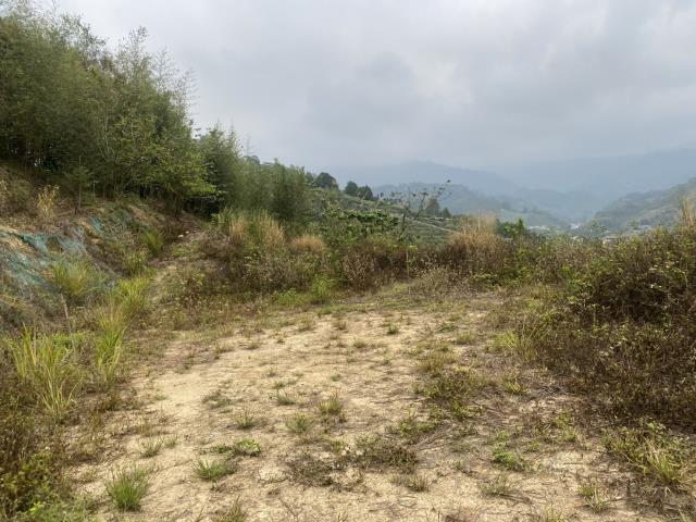 台中東勢農地_山坡地-2