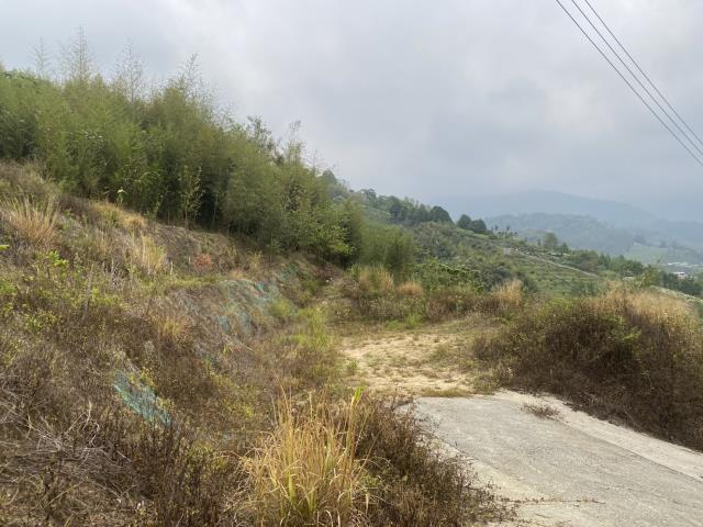 台中東勢農地_山坡地-3