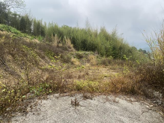 台中東勢農地_山坡地-4