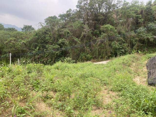 台中東勢農地_山坡地-5