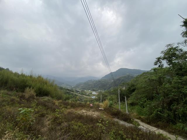 台中東勢農地_山坡地-6