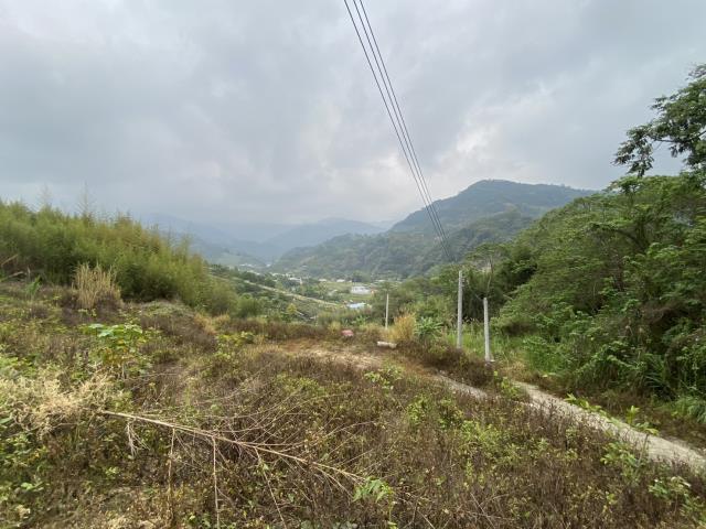 台中東勢農地_山坡地-7