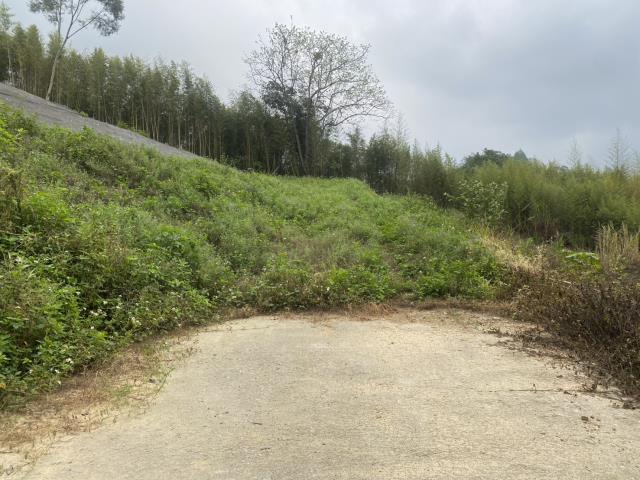 台中東勢農地_山坡地-1