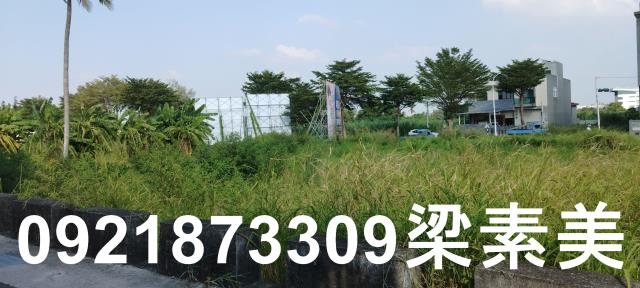 台南仁德農地-12