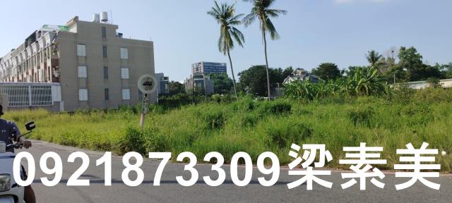 台南仁德農地-5