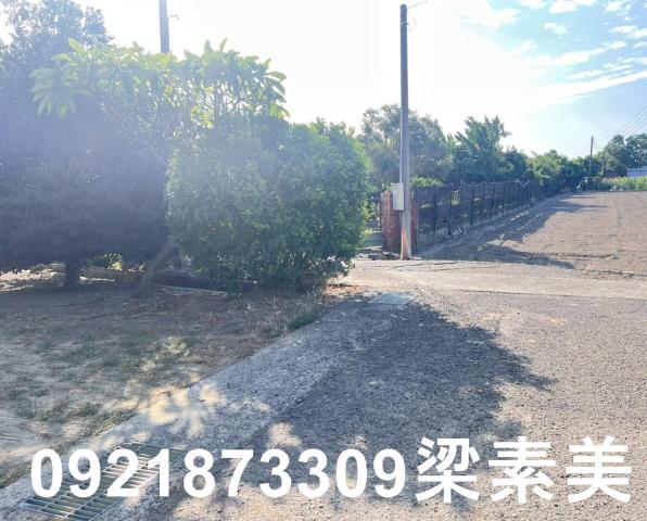 台南仁德農地-14