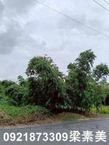 台南關廟建地-1
