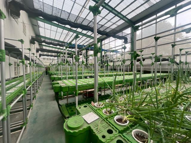 台中大雅農地-13