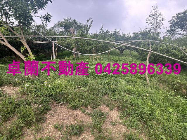 卓蘭農地-7