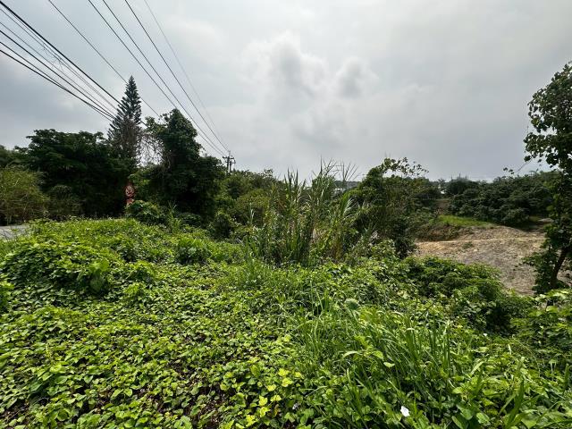 台南左鎮農地-5