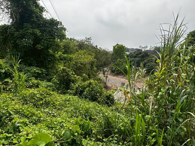 台南左鎮農地-6