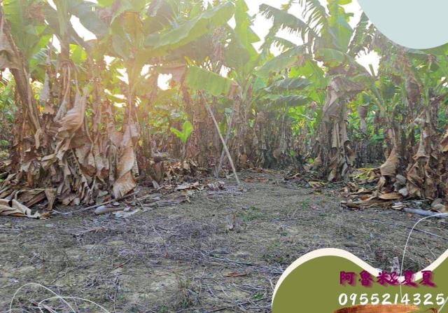 嘉義湖子內店富鑫阿魯米與夏夏建地農地買賣台灣房屋嘉義湖子內店