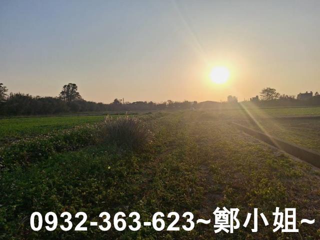 桃園觀音農地-4