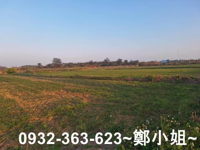 桃園觀音農地-8