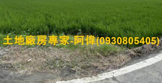 高雄大寮農地-0