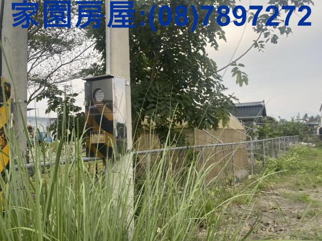 屏東新埤農地-1