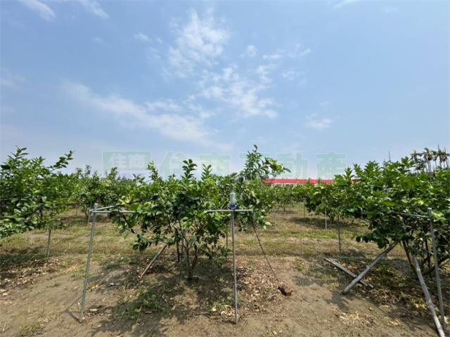 屏東九如農地-2