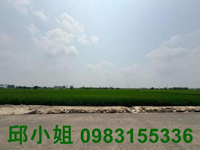 嘉義買房賣房房地合一稅建地農地