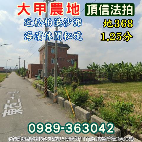 大甲農地_休閒地法拍-2