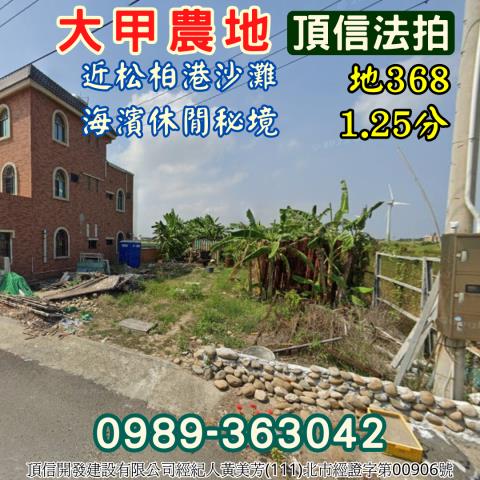 大甲農地_休閒地法拍-3