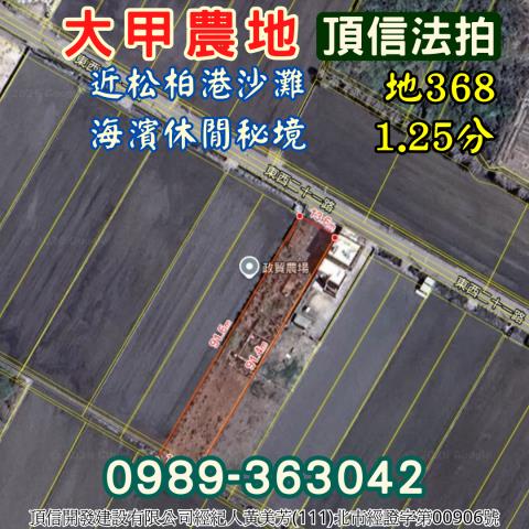 大甲農地_休閒地法拍-4