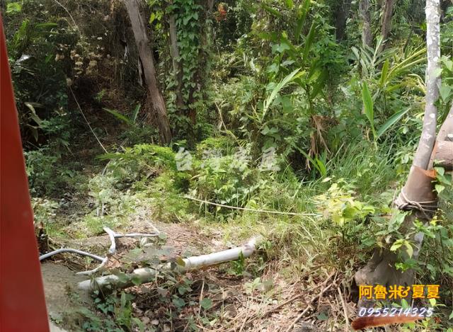 台南白河農地-7