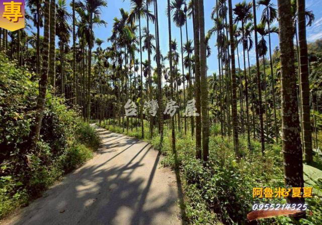 嘉義梅山農地-7