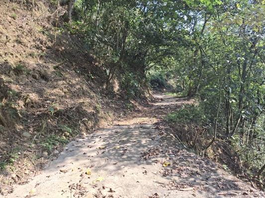 苗栗公館建地-7