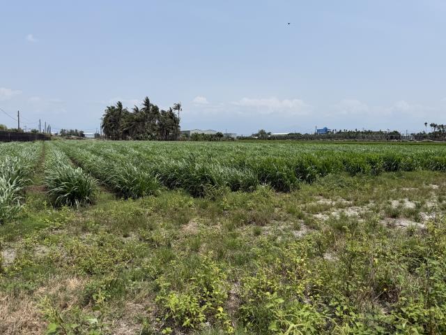 屏東屏東市農地-0