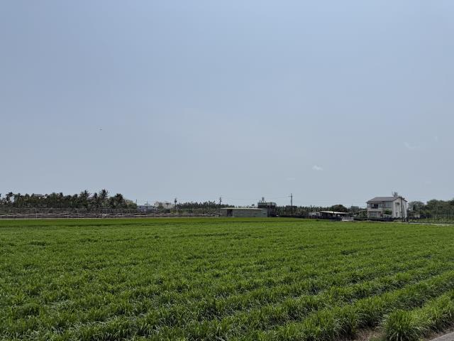 屏東屏東市農地-1