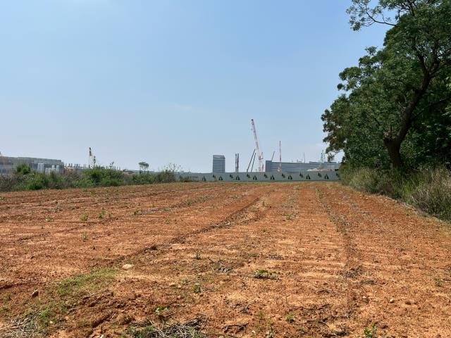 台中大雅農地-4