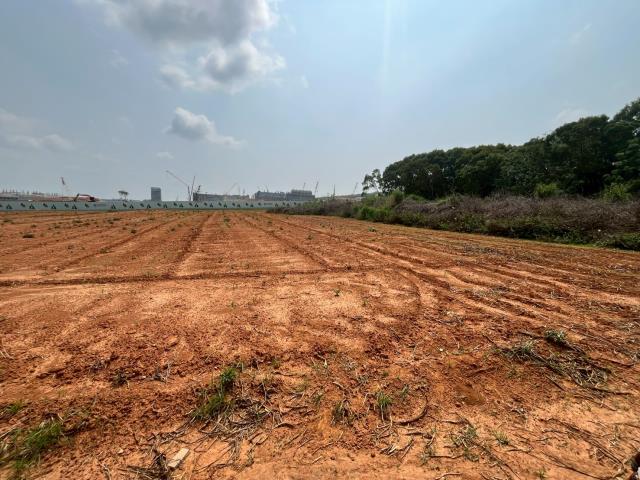 台中大雅農地-6