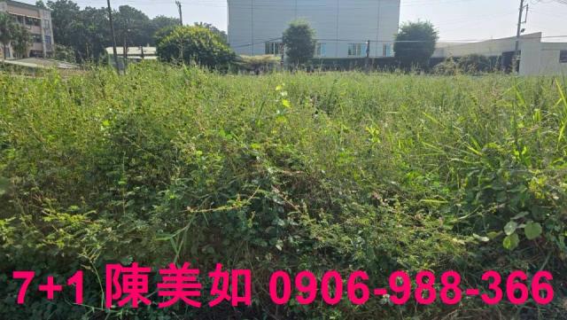 仁武仁林路丁建用地出售
