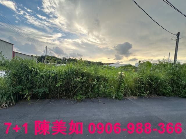 仁武雙面路農地