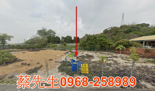 大村南方一巷農地種植經濟農作物果樹