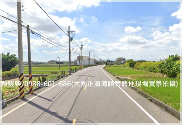 大園圳股頭一般農出售