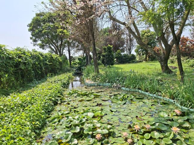 高雄美濃農地-6