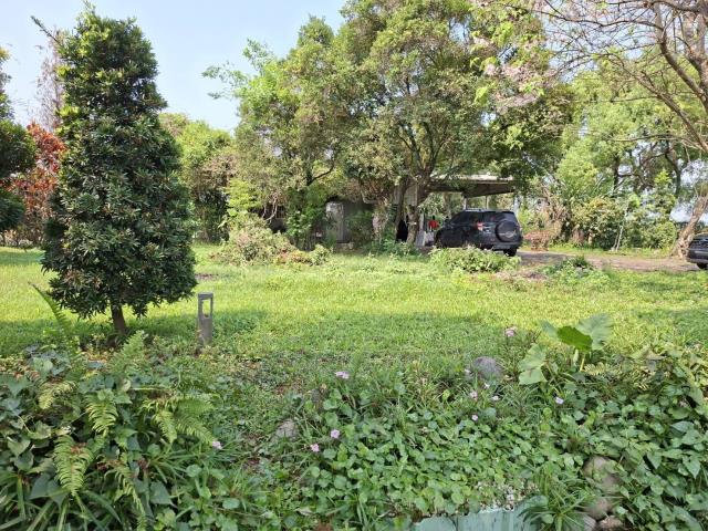 高雄美濃農地-9