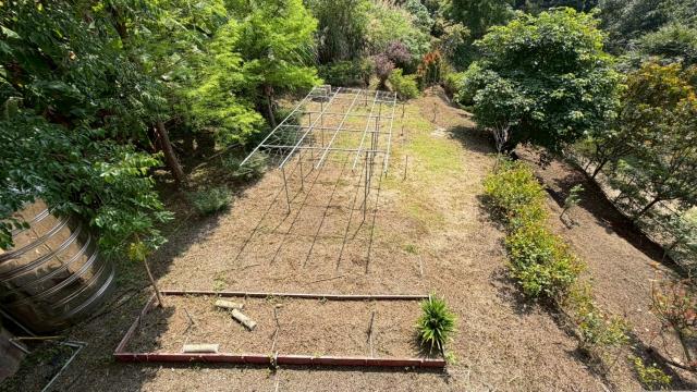 新竹峨眉農地-5