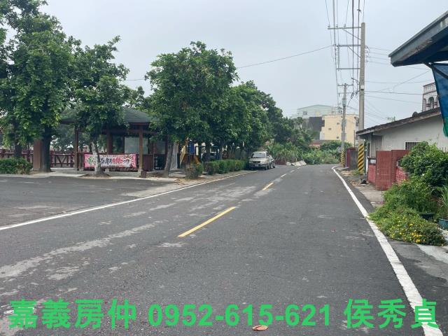 嘉義太保建地-0