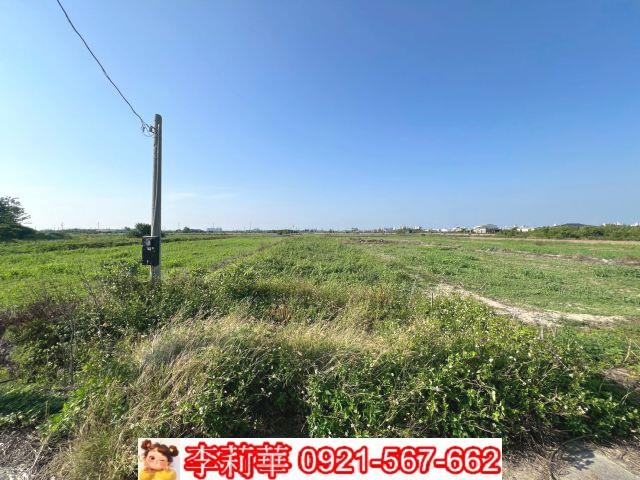 台南佳里農地-10