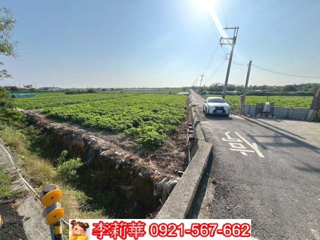 台南佳里農地-4