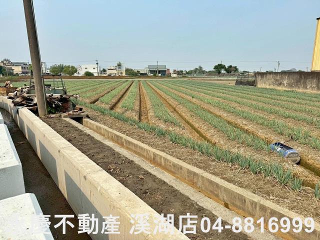 彰化埔鹽農地-14