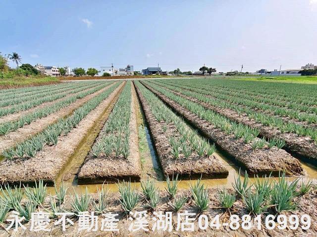 彰化埔鹽農地-1