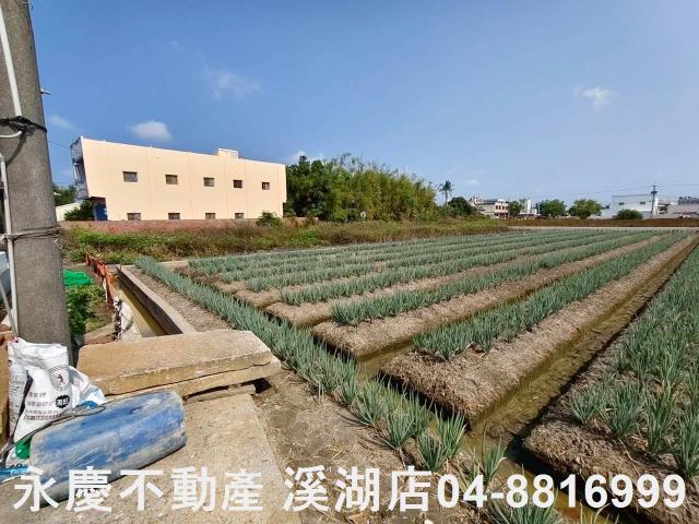 彰化埔鹽農地-3