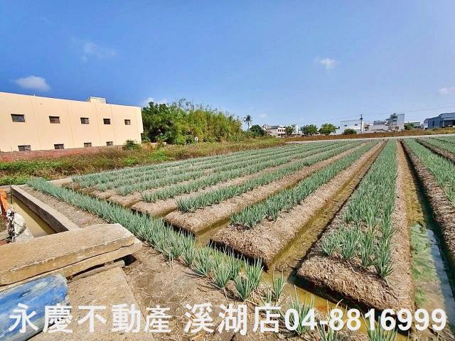 彰化埔鹽農地-6
