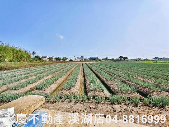 彰化埔鹽農地-7